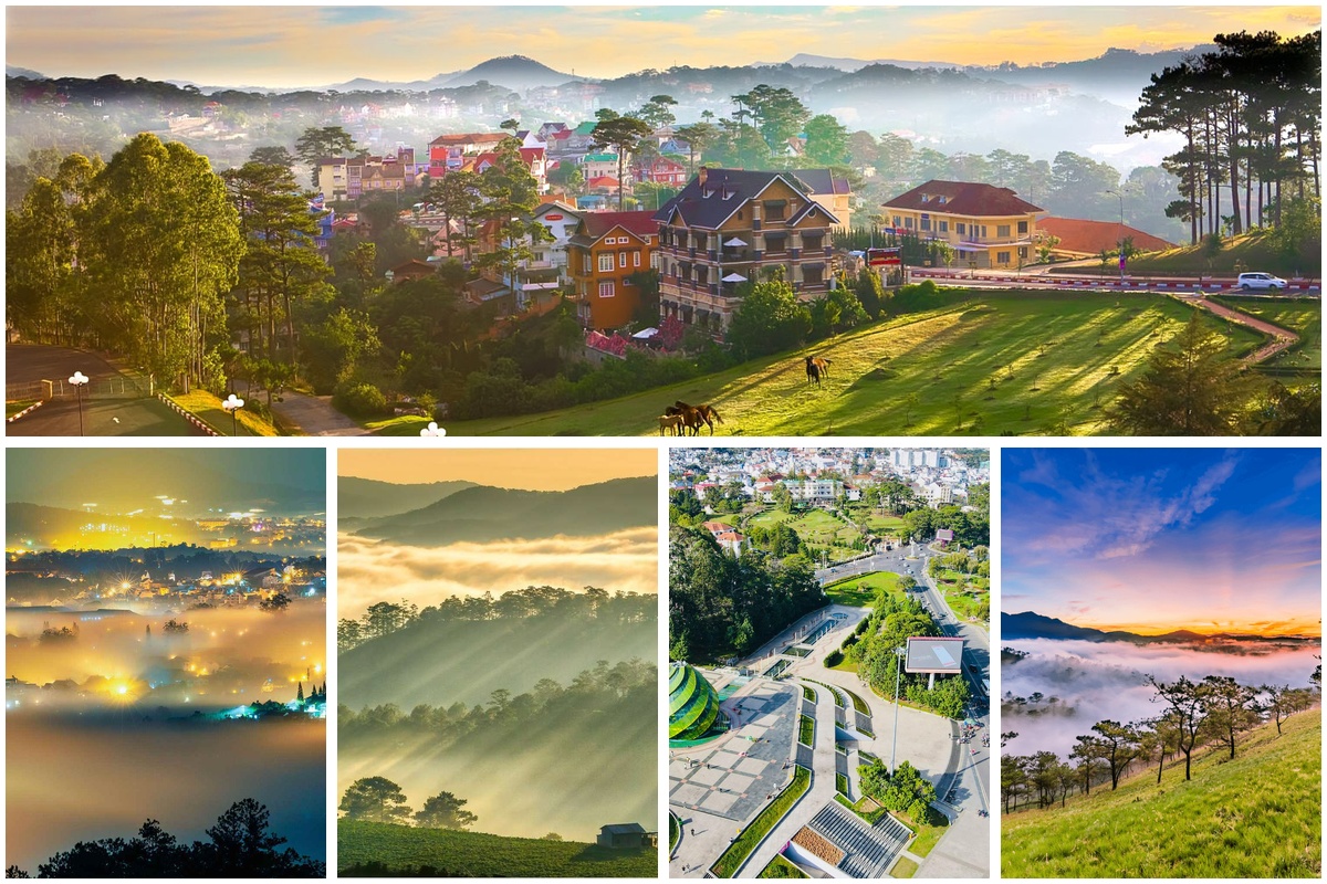 Bí kíp phượt Đà Lạt 3 ngày 2 đêm tự túc hay nhất