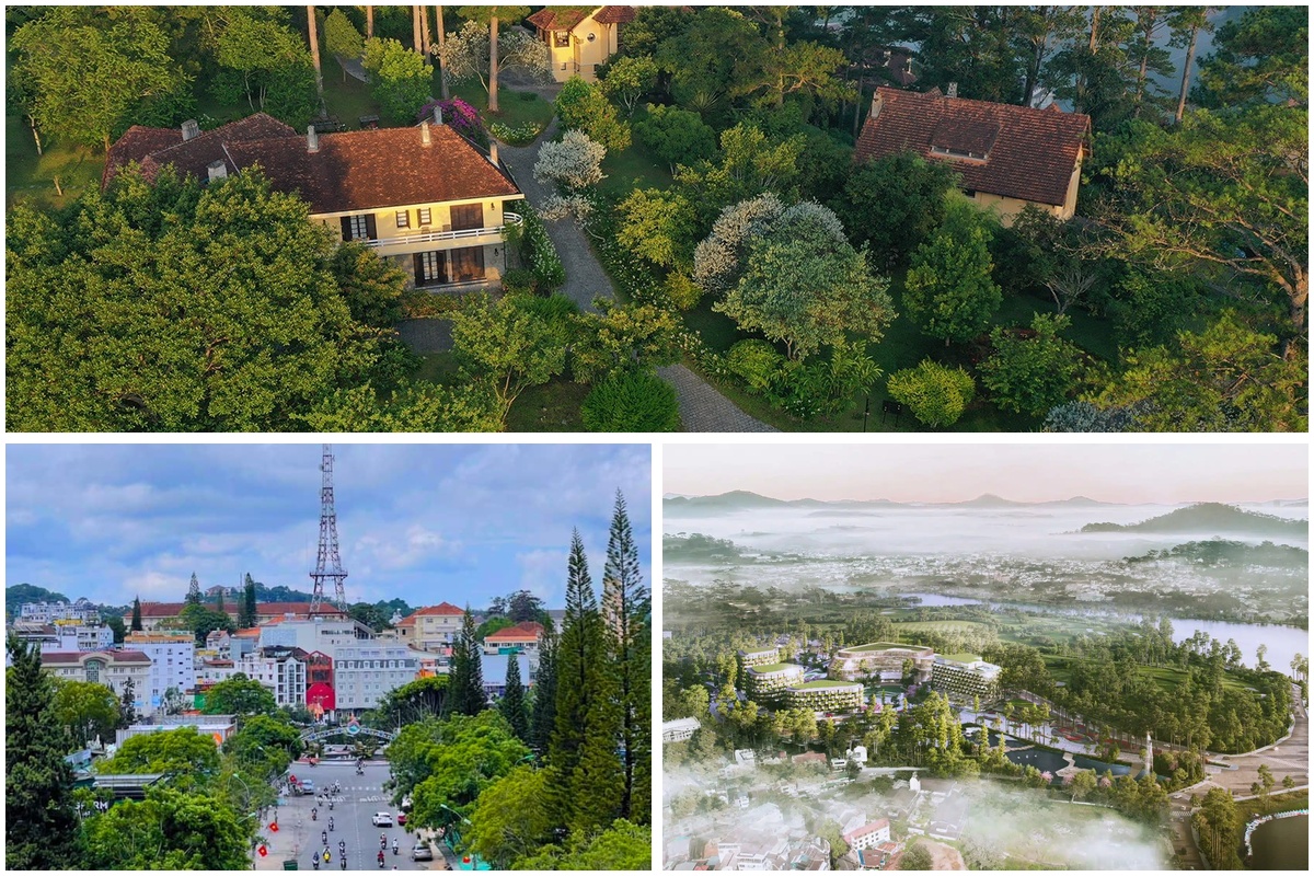 Bí kíp phượt Đà Lạt 3 ngày 2 đêm tự túc hay nhất