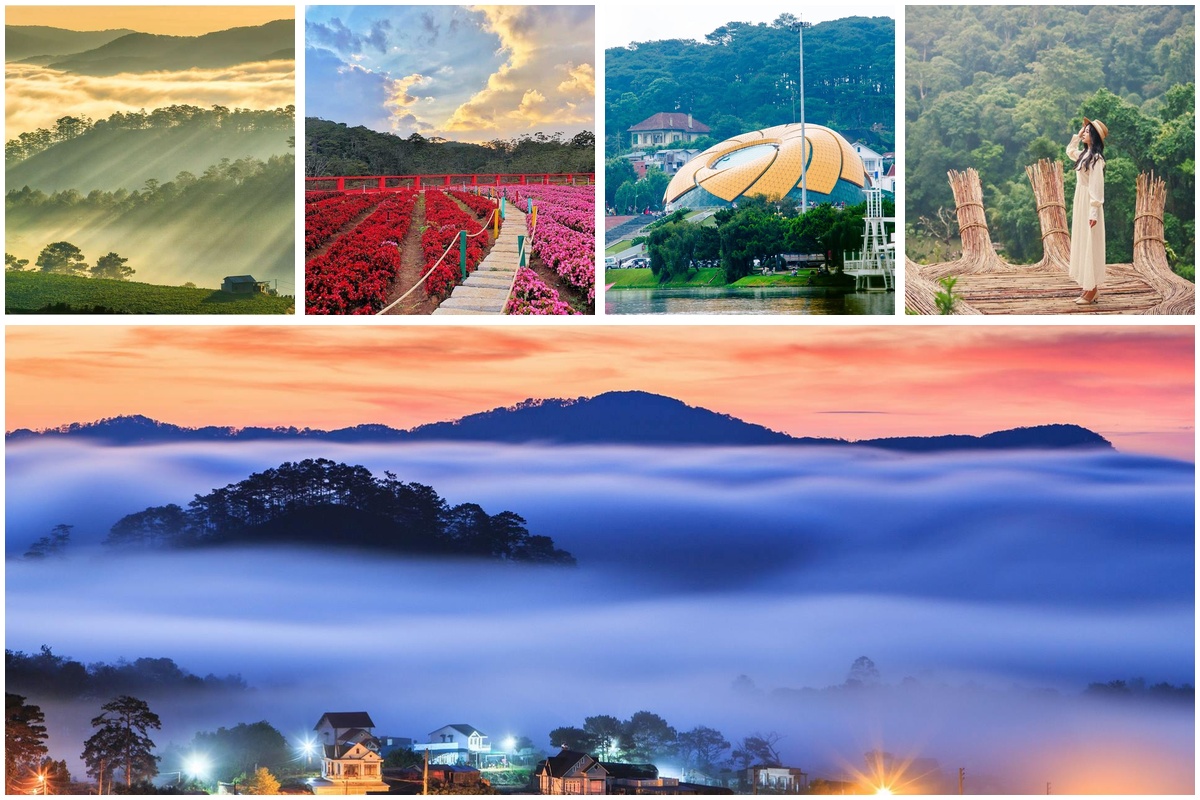 Chia sẻ kinh nghiệm lần đầu lên Đà Lạt cần biết gì