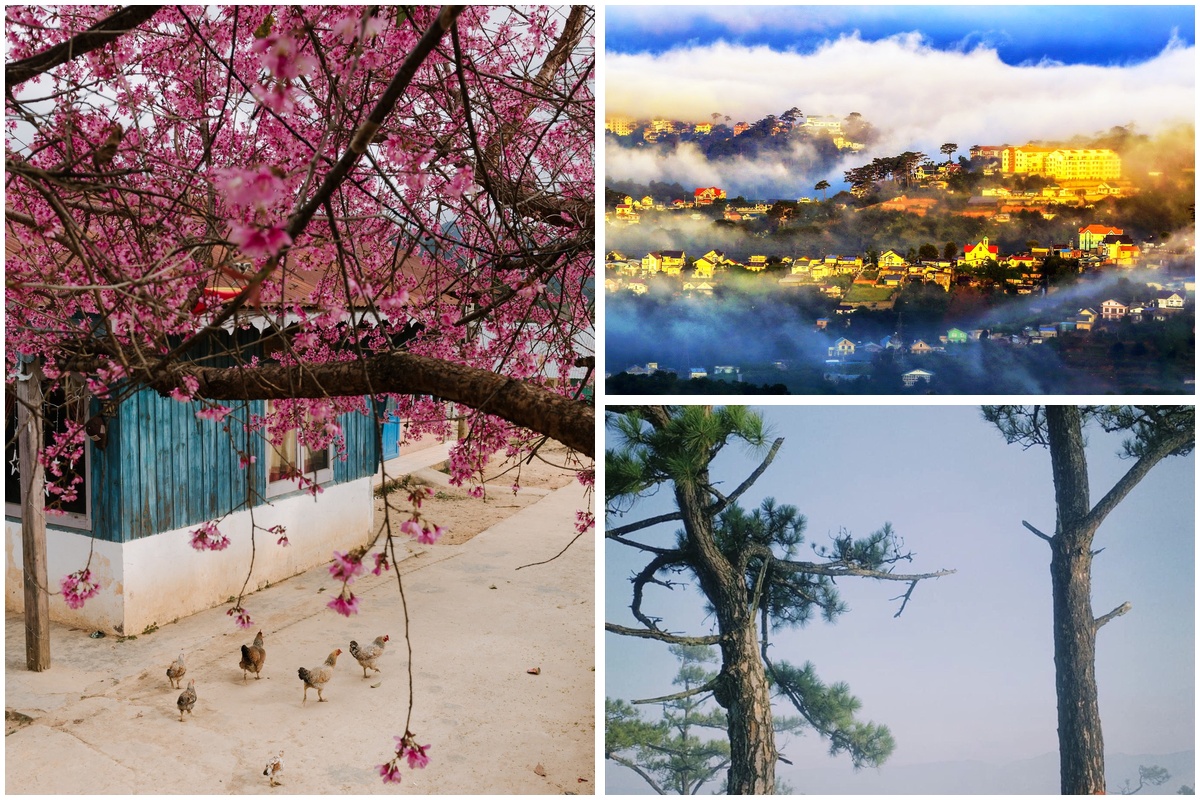 Chia sẻ kinh nghiệm lần đầu lên Đà Lạt cần biết gì