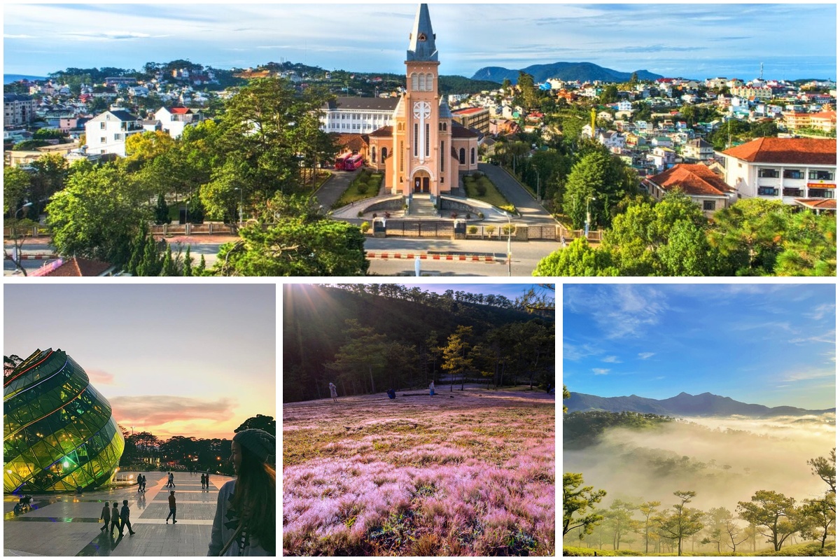 Đưa bé đi Đà Lạt - vui chơi và khám phá thiên nhiên