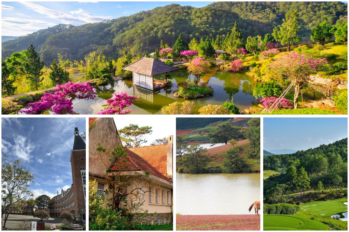 Những sai lầm thường gặp khi đi du lịch Đà Lạt