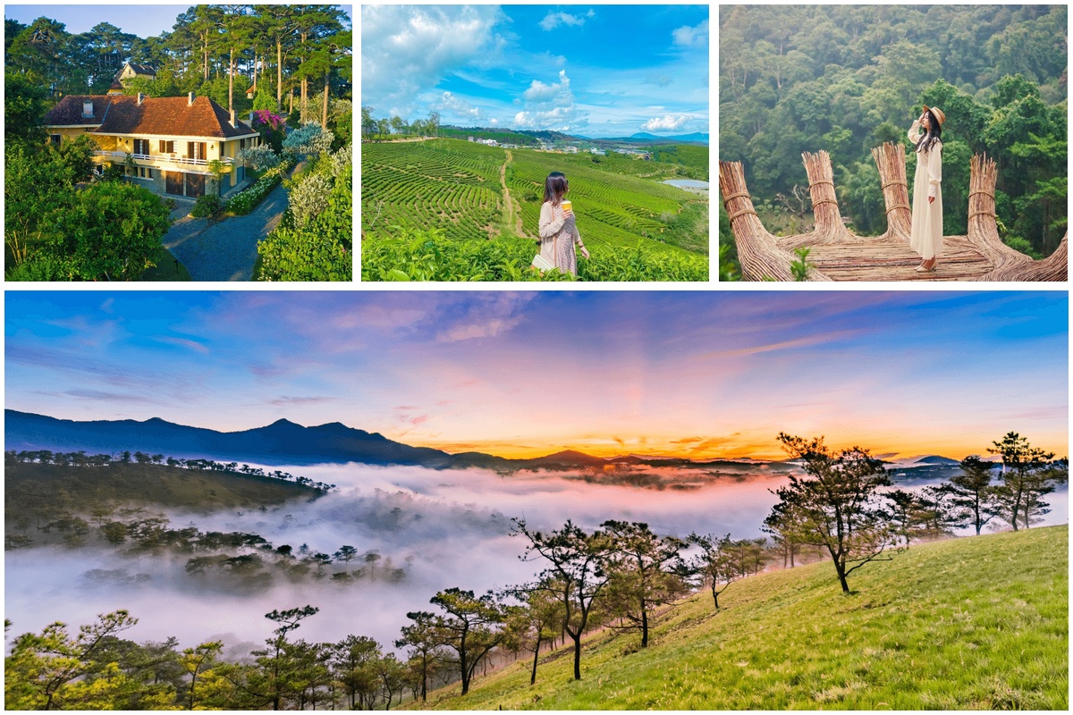 Những sai lầm thường gặp khi đi du lịch Đà Lạt