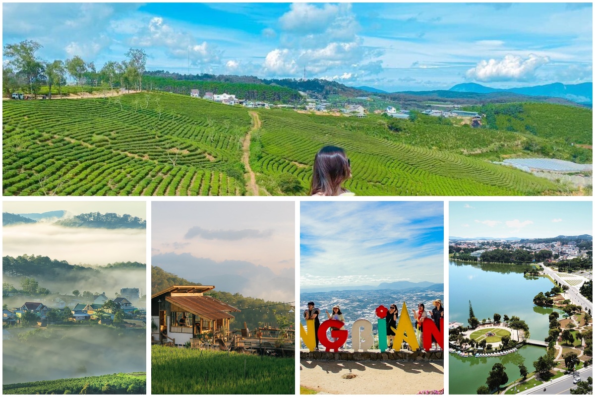 Trọn vẹn Đà Lạt 2 ngày 1 đêm - lãng mạn và chill