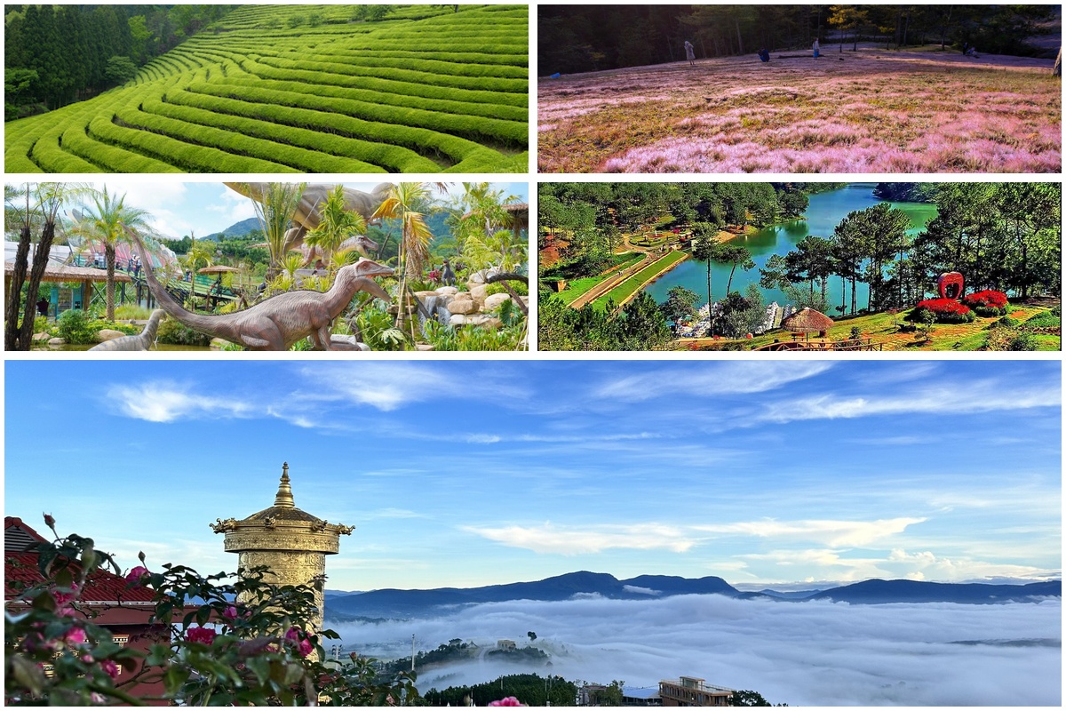 Trọn vẹn Đà Lạt 2 ngày 1 đêm - lãng mạn và chill